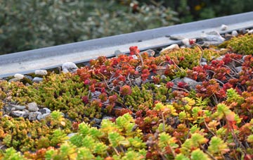 the cost of Peverell green roof installation