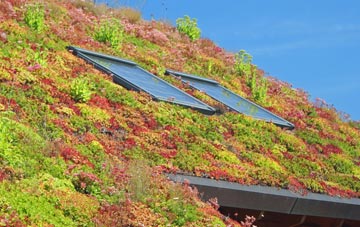Peverell living roof systems