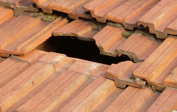 roof repair Peverell, Devon