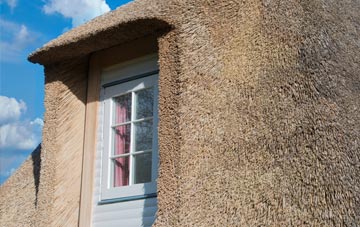Peverell thatch roof disadvantages